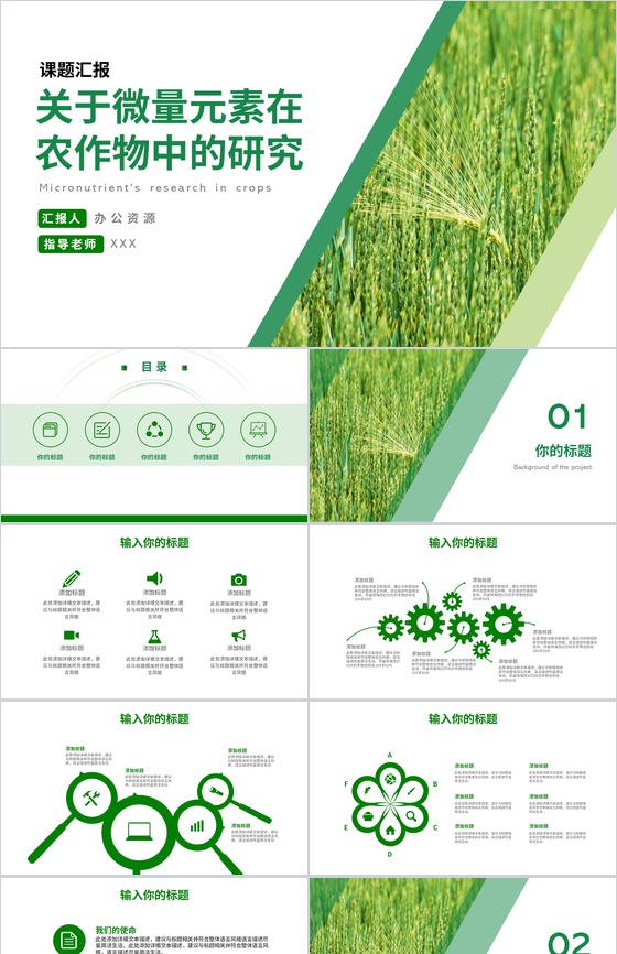 关于微量元素在农作物中的研究论文答辩PP