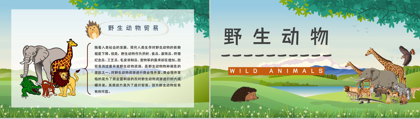 教育教学爱护野生动物保护动物公益活动宣传主题班会PPT模板-8
