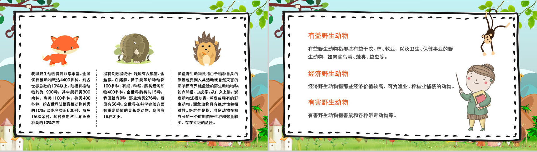 教育培训之野生动物介绍保护动物公益活动主题班会宣传活动计划书通用PPT模板-10