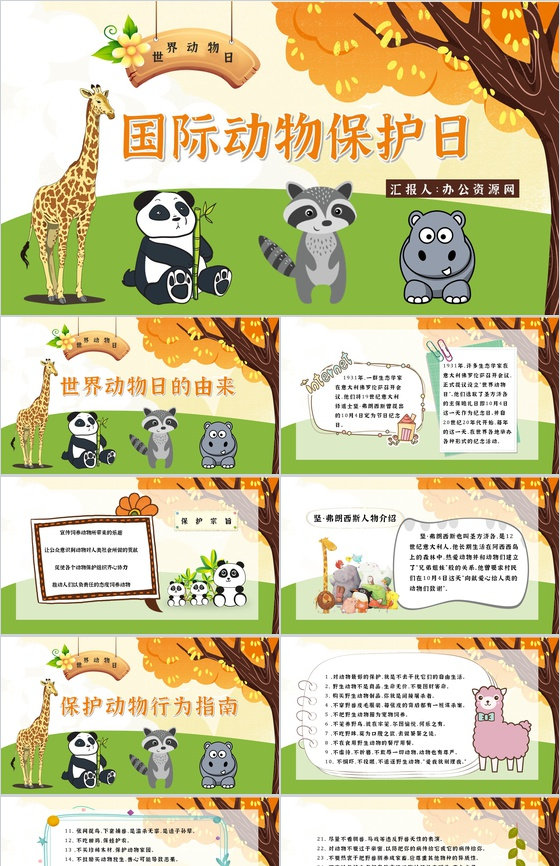 公益活动宣传国际保护动物日策划学校教育培