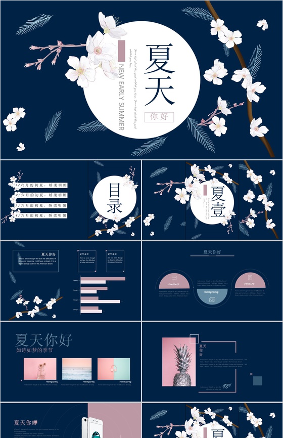 你好夏天主题工作汇报PPT模板