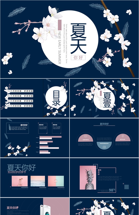 蓝色大气夏天打招呼PPT模板