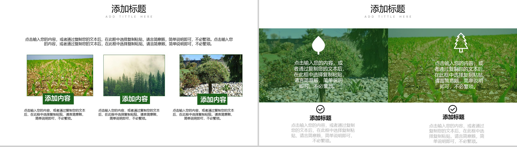 我给小树浇浇水植树节介绍PPT模板-8