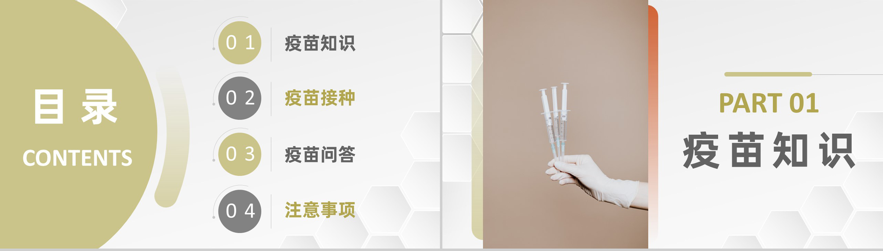 简约防控疫情方案新冠病毒疫苗接种肺炎疫苗知识通用PPT模板-2
